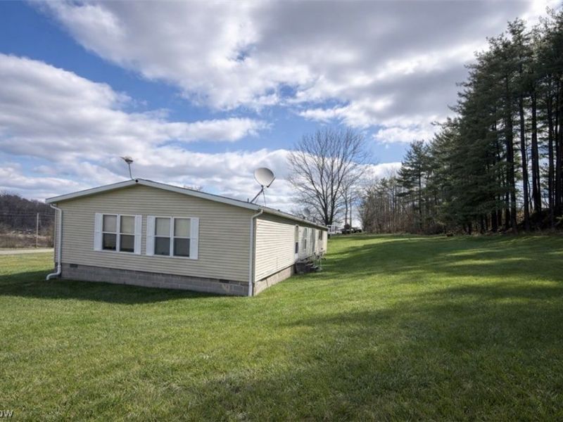 47813 Old Hopedale Road, Cadiz, OH 43907 Photo 3