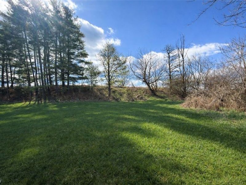 47813 Old Hopedale Road, Cadiz, OH 43907 Photo 4