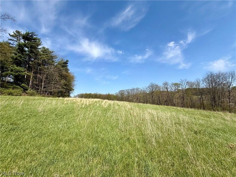4101 Peace Road SE, Carrollton, OH 44615 Photo 18