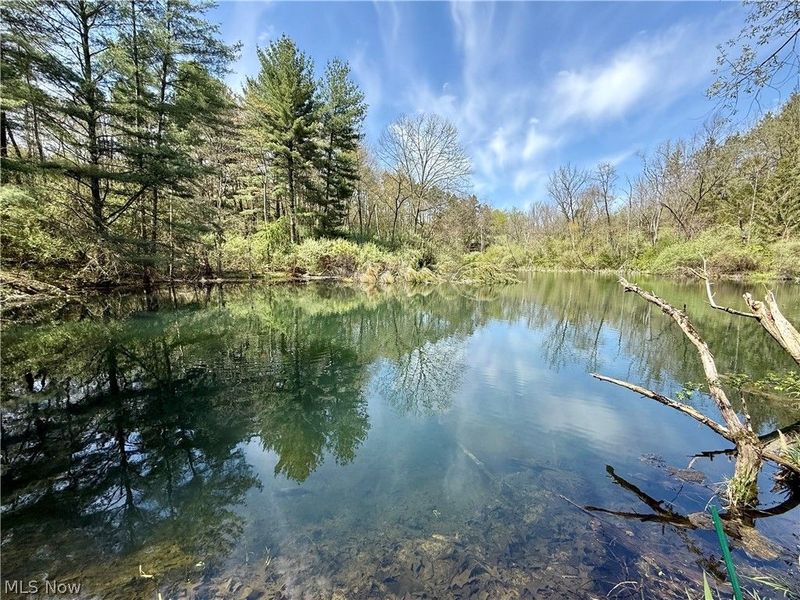 4101 Peace Road SE, Carrollton, OH 44615 Photo 22