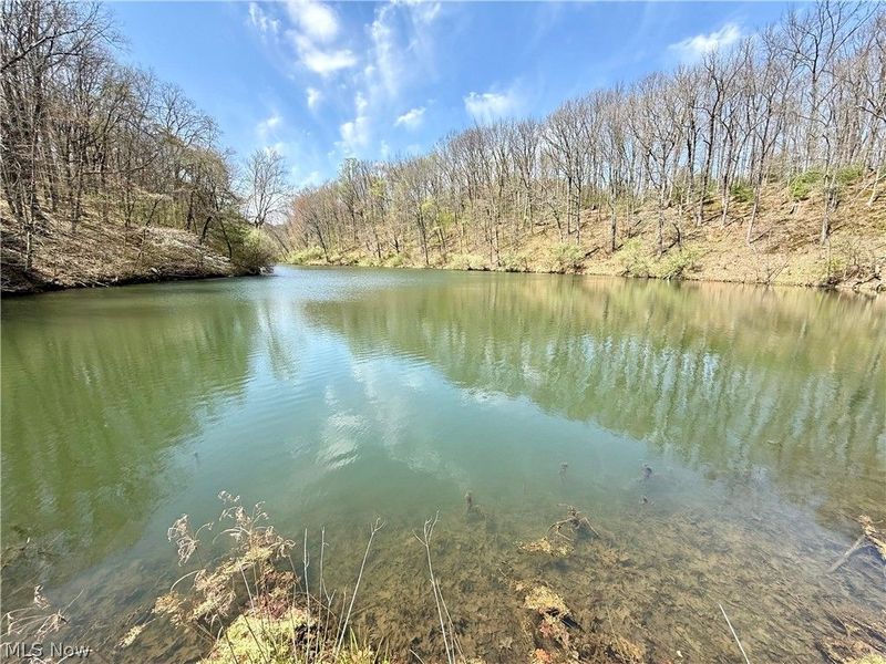 4101 Peace Road SE, Carrollton, OH 44615 Photo 25