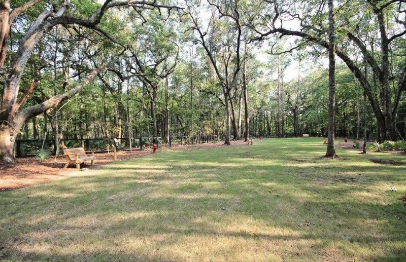 2619 Rutherford Way Photo 51