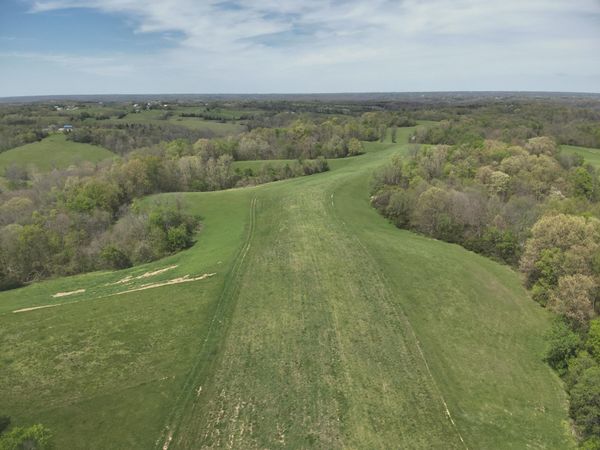 2451 Sardis Road, Mt. Olivet, KY 41064