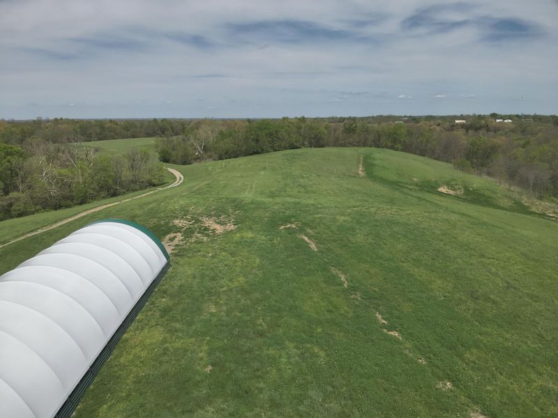 2451 Sardis Road, Mount Olivet, KY 41064 Photo 11