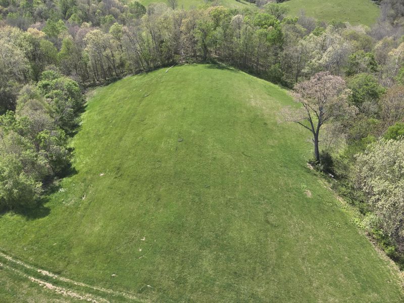 2451 Sardis Road, Mount Olivet, KY 41064 Photo 13
