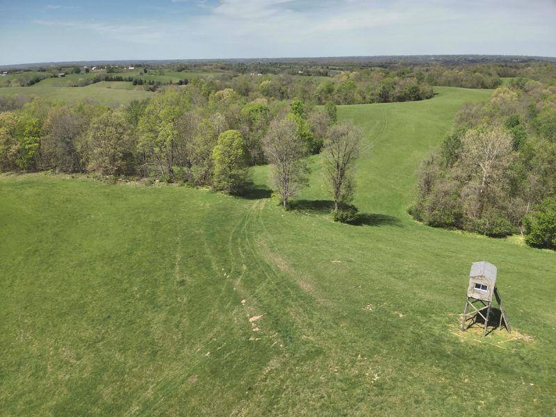 2451 Sardis Road, Mount Olivet, KY 41064 Photo 15