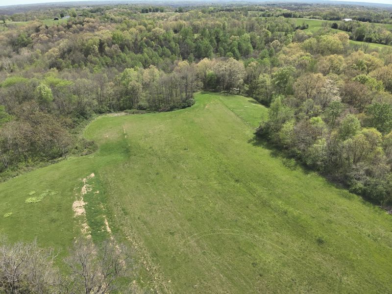 2451 Sardis Road, Mount Olivet, KY 41064 Photo 17