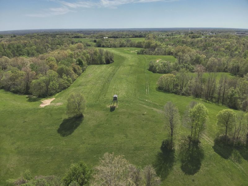 2451 Sardis Road, Mount Olivet, KY 41064 Photo 18