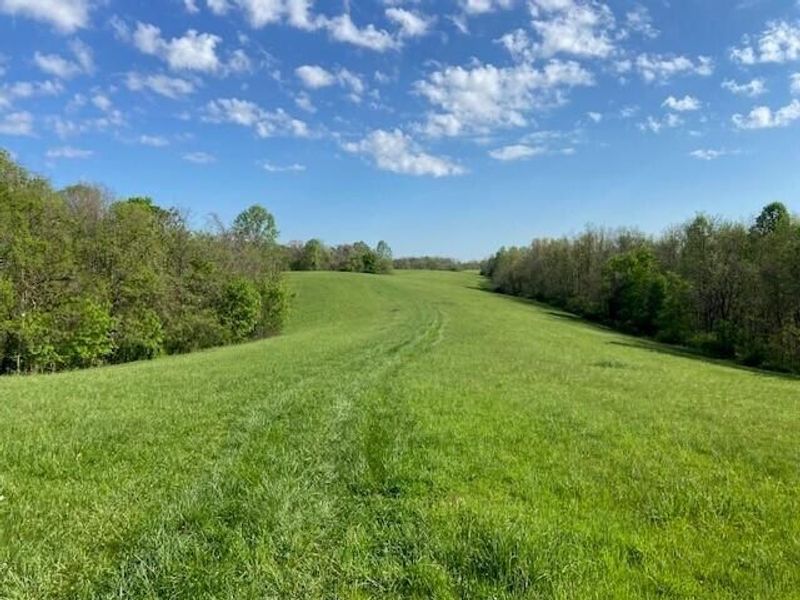 2451 Sardis Road, Mount Olivet, KY 41064 Photo 2