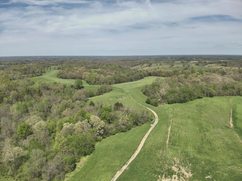 2451 Sardis Road, Mount Olivet, KY 41064 Photo 20