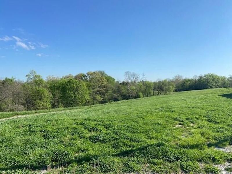 2451 Sardis Road, Mount Olivet, KY 41064 Photo 23