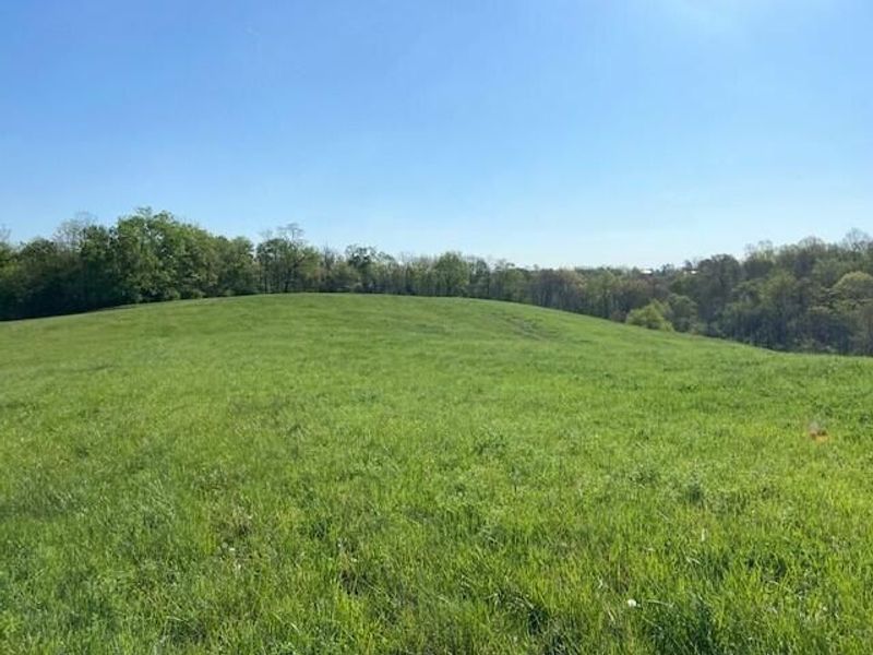 2451 Sardis Road, Mount Olivet, KY 41064 Photo 24