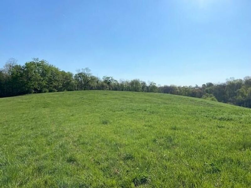 2451 Sardis Road, Mount Olivet, KY 41064 Photo 25