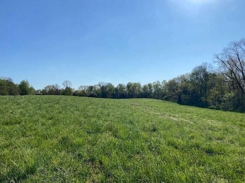 2451 Sardis Road, Mount Olivet, KY 41064 Photo 26