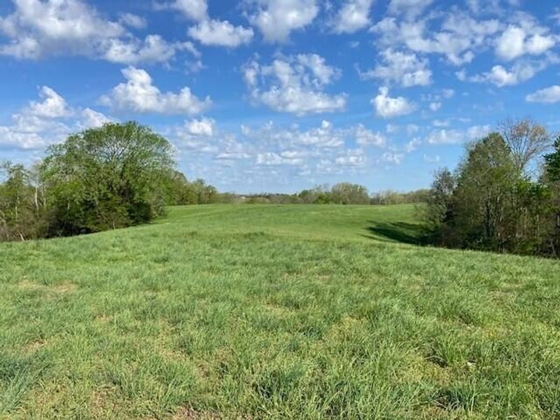 2451 Sardis Road, Mount Olivet, KY 41064 Photo 28