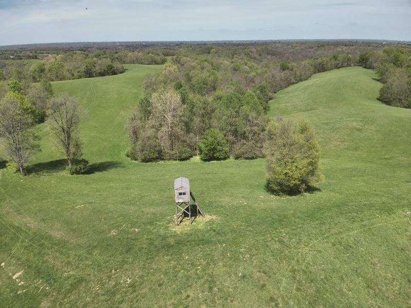 2451 Sardis Road, Mount Olivet, KY 41064 Photo 3