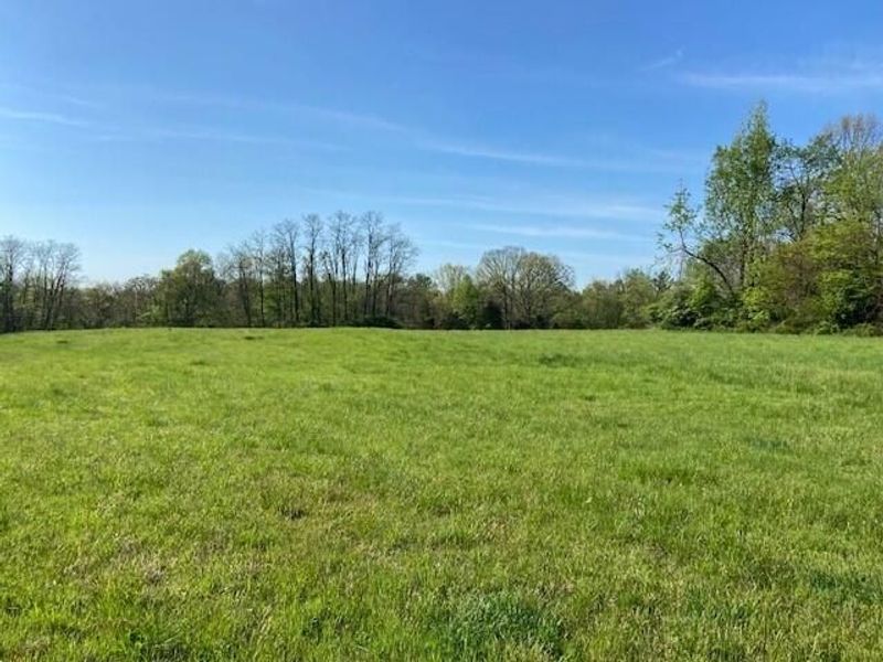 2451 Sardis Road, Mount Olivet, KY 41064 Photo 30