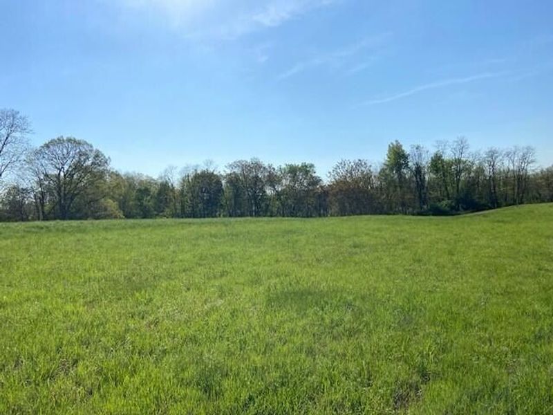 2451 Sardis Road, Mount Olivet, KY 41064 Photo 31