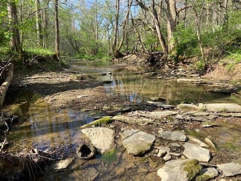 2451 Sardis Road, Mount Olivet, KY 41064 Photo 32