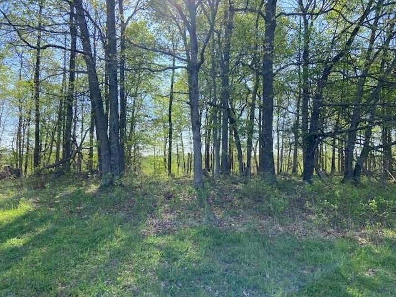 2451 Sardis Road, Mount Olivet, KY 41064 Photo 33