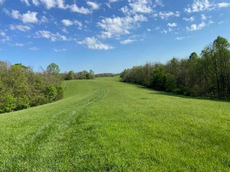 2451 Sardis Road, Mount Olivet, KY 41064 Photo 36