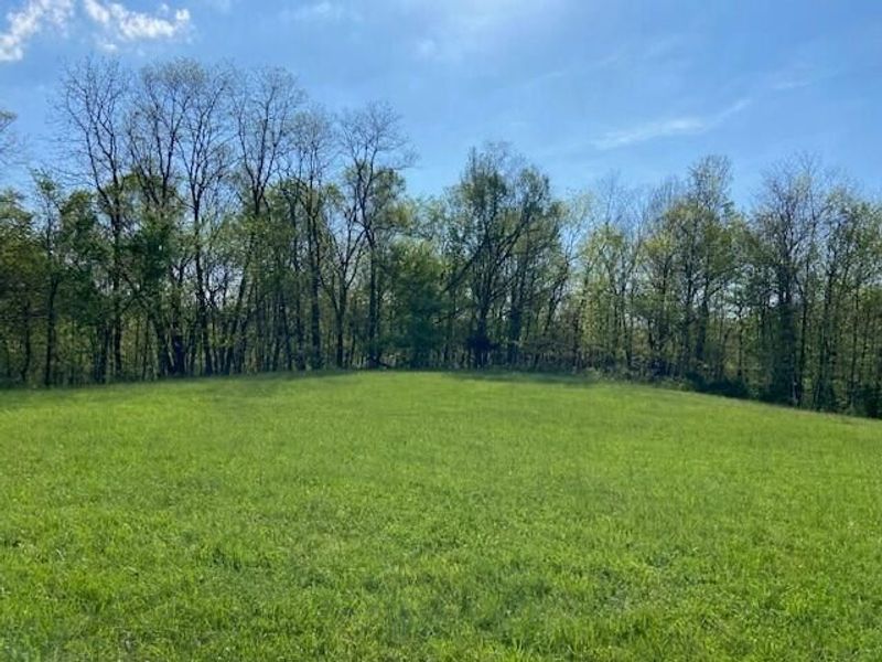 2451 Sardis Road, Mount Olivet, KY 41064 Photo 37