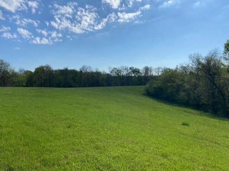 2451 Sardis Road, Mount Olivet, KY 41064 Photo 38