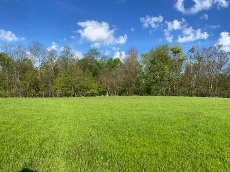 2451 Sardis Road, Mount Olivet, KY 41064 Photo 39