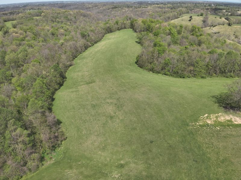 2451 Sardis Road, Mount Olivet, KY 41064 Photo 4