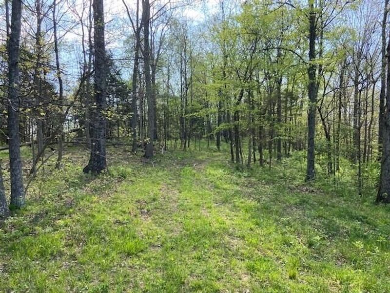 2451 Sardis Road, Mount Olivet, KY 41064 Photo 40