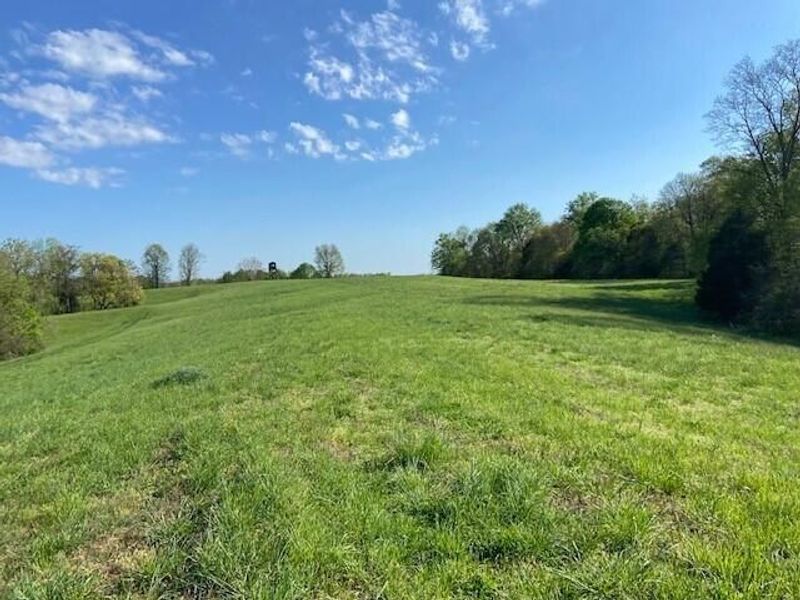 2451 Sardis Road, Mount Olivet, KY 41064 Photo 5