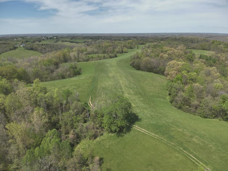2451 Sardis Road, Mount Olivet, KY 41064 Photo 6