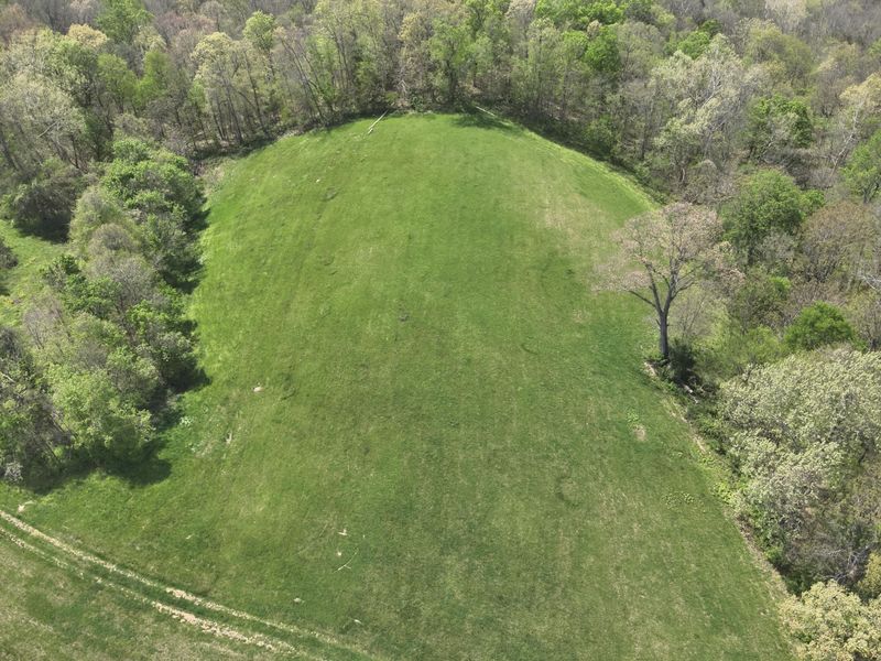 2451 Sardis Road, Mount Olivet, KY 41064 Photo 9