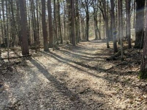 0 Forest Road 1637 Road, Oconto, WI 54161