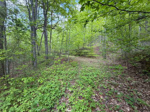 15.04 James Branch Road, Newport, TN 37821