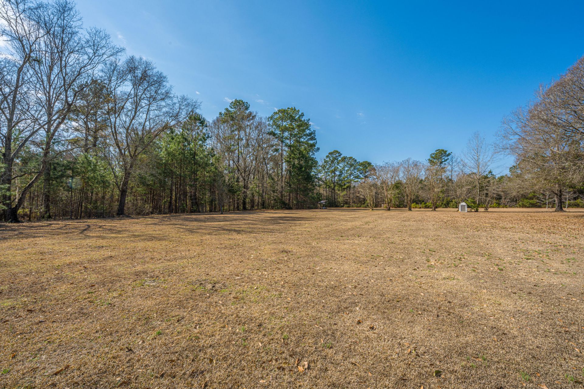 200 Duxback Lane Photo 53