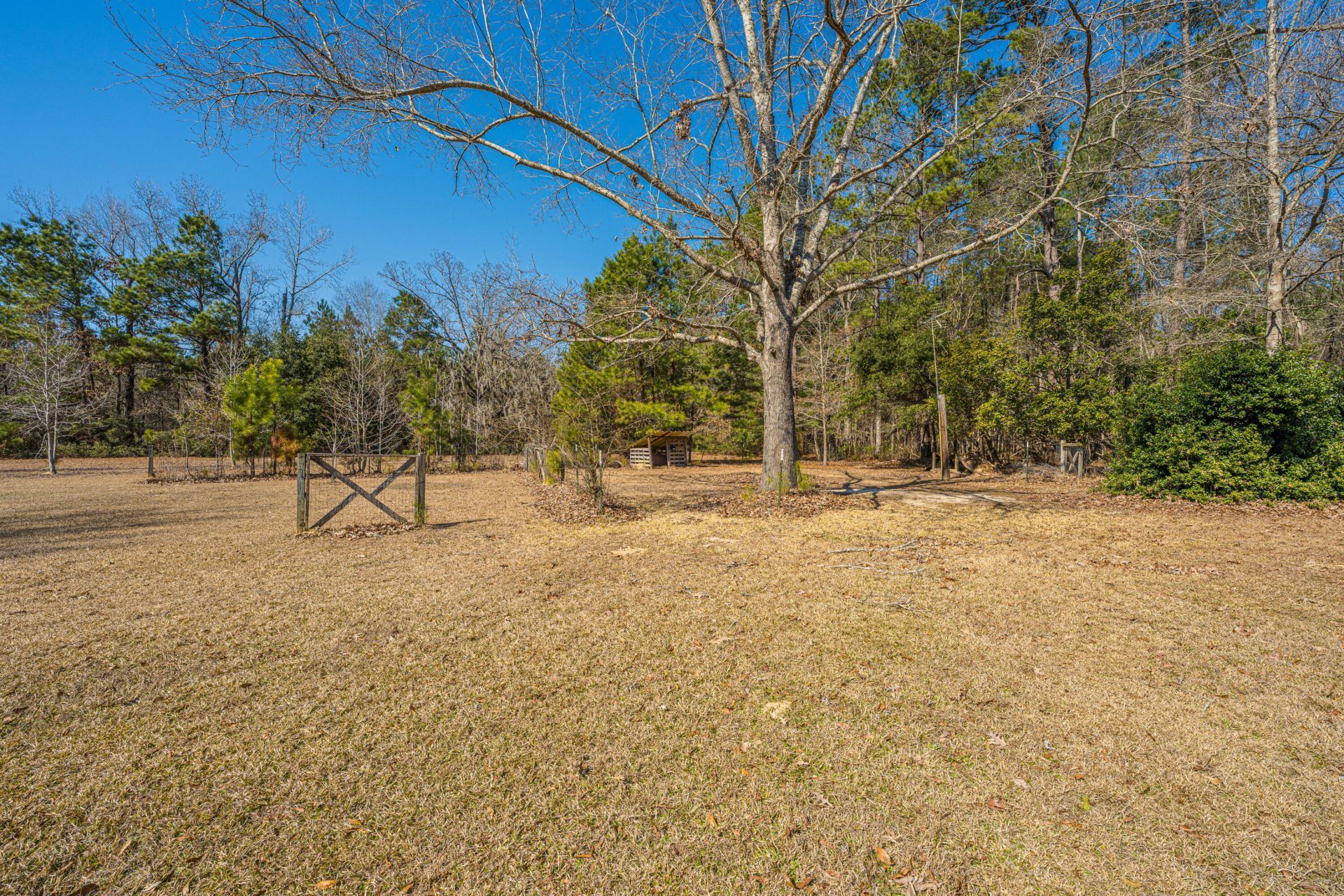 200 Duxback Lane Photo 59