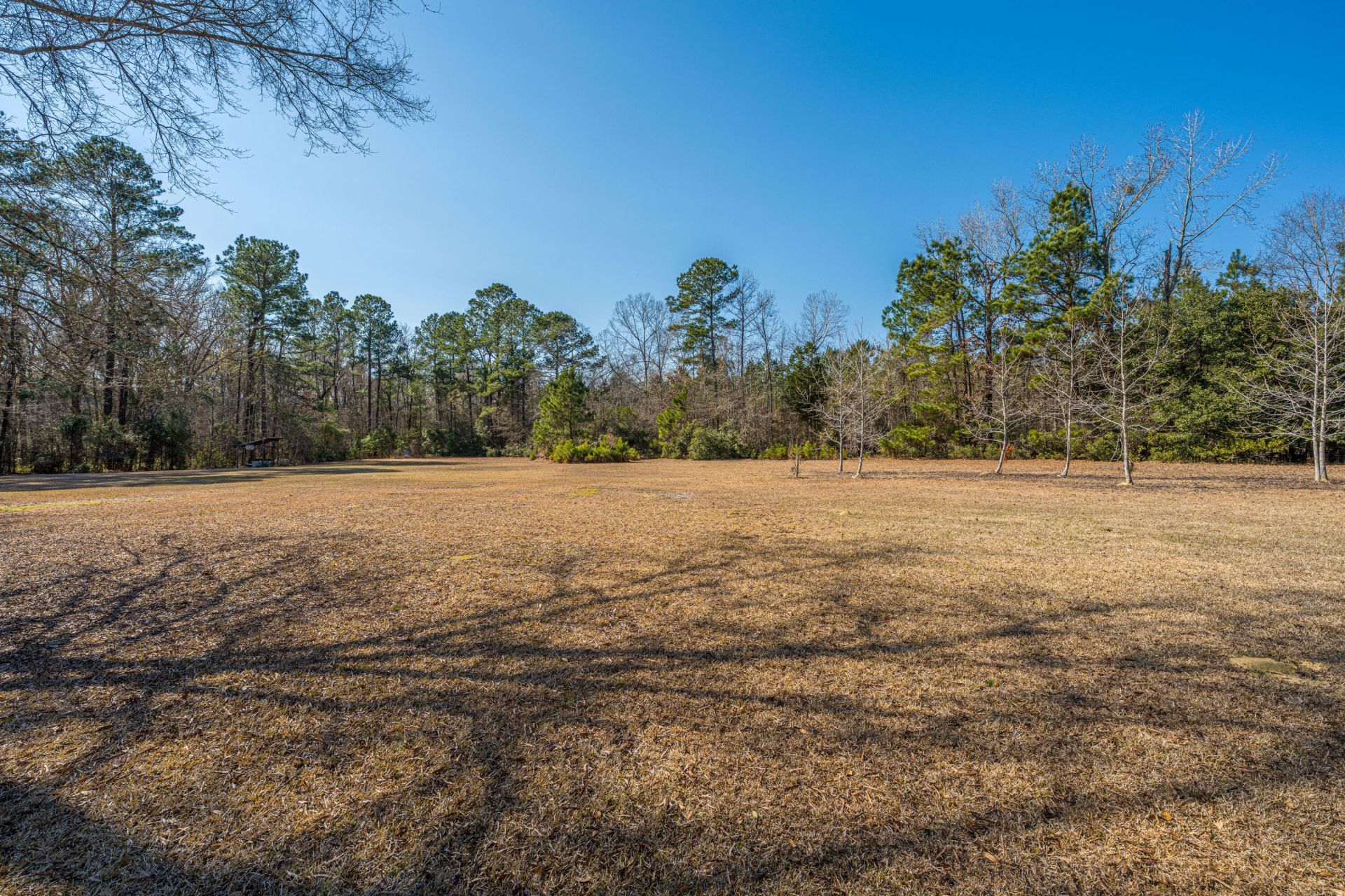 200 Duxback Lane Photo 62