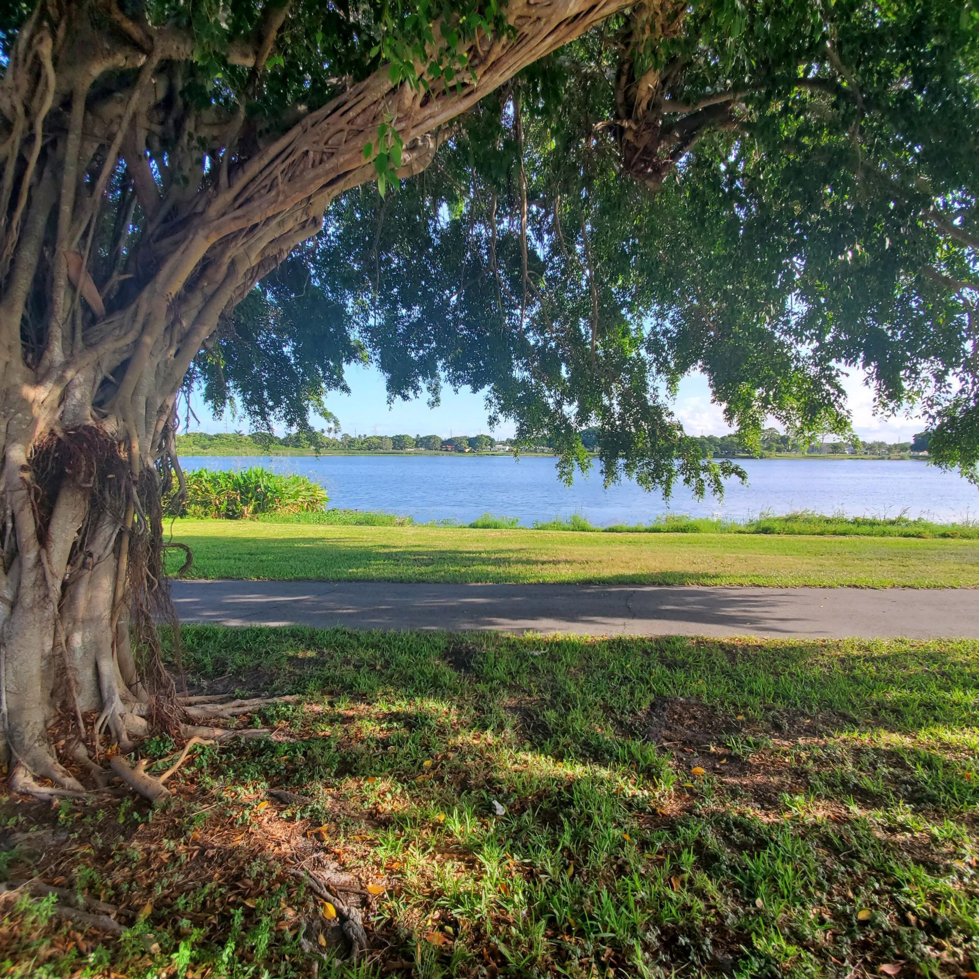 115 Akron Street, Unit C, Lake Worth Beach, FL 33461 Photo