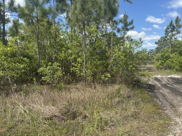 0 Holopaw Groves Road, St. Cloud, FL 34772