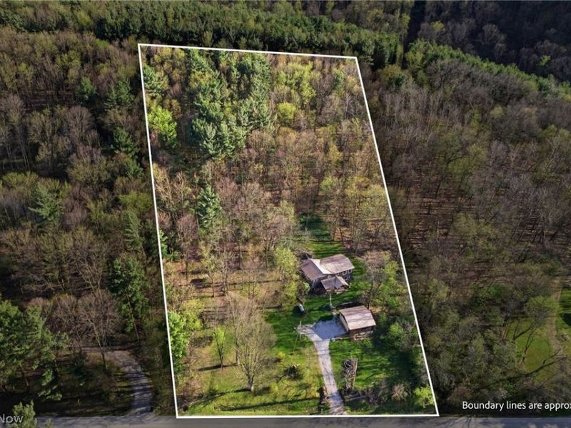 979 County Road 3006, Perrysville, OH 44864 Photo 3