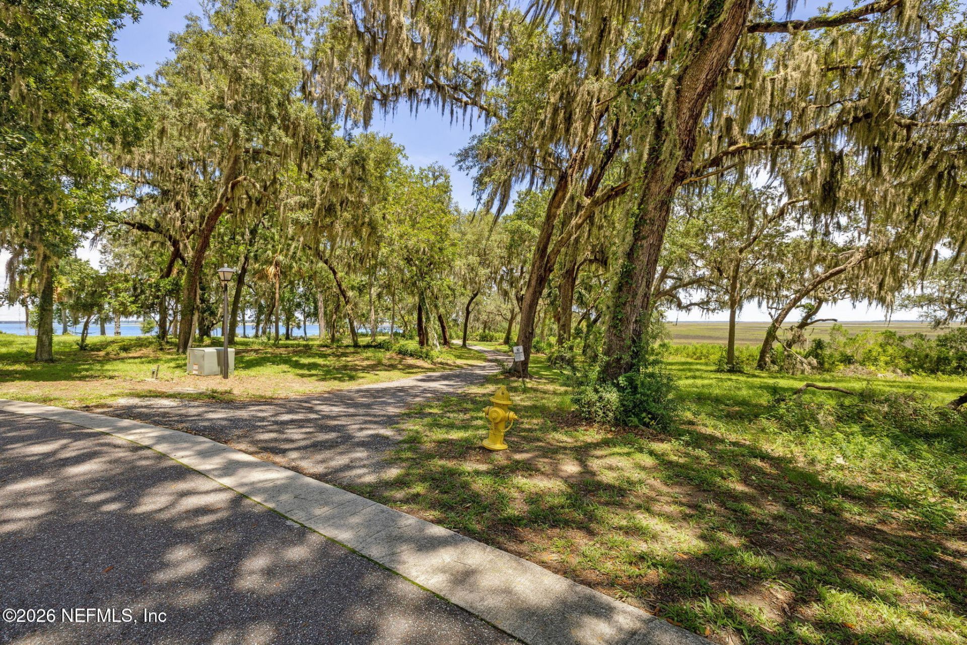 29258 Grandview Manor, Yulee, FL 32097 Photo