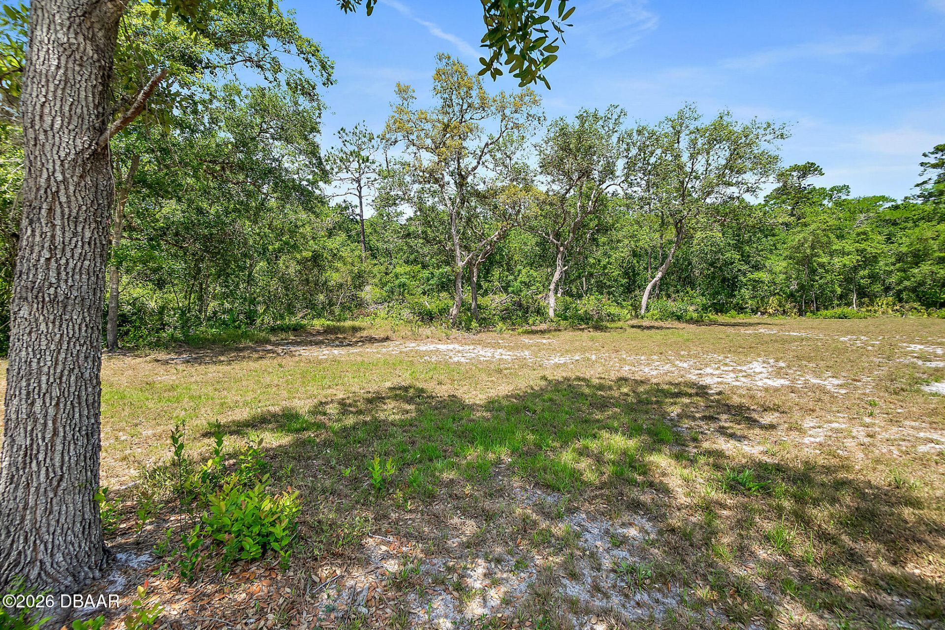 1370 Buckles Road, Pierson, FL 32180 Photo