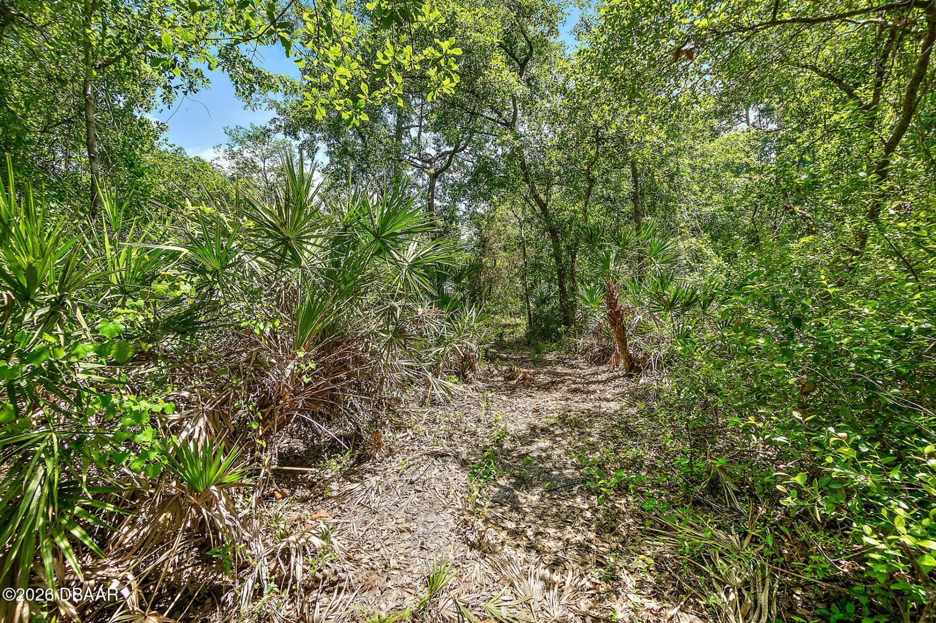1370 Buckles Road, Pierson, FL 32180 Photo