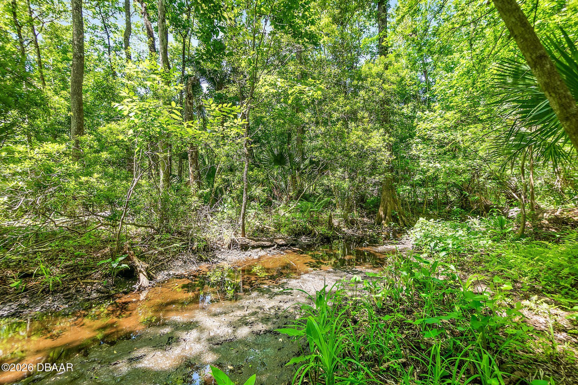 1370 Buckles Road, Pierson, FL 32180 Photo