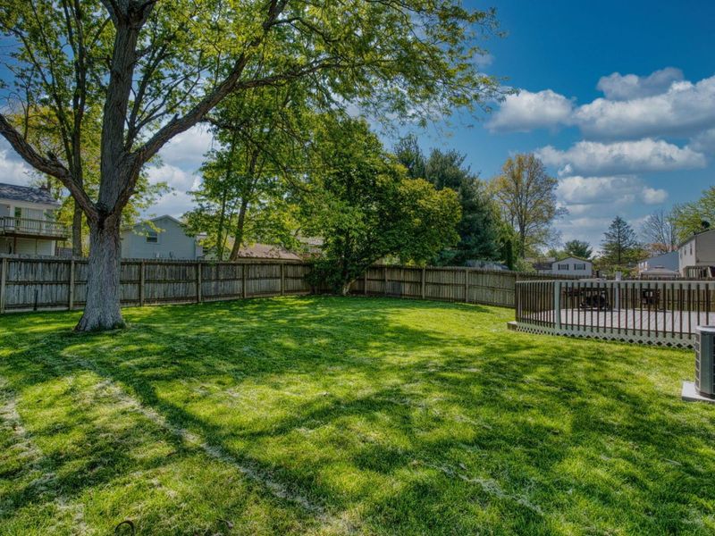 5116 Strawberry Farms Boulevard, Columbus, OH 43230 Photo 53