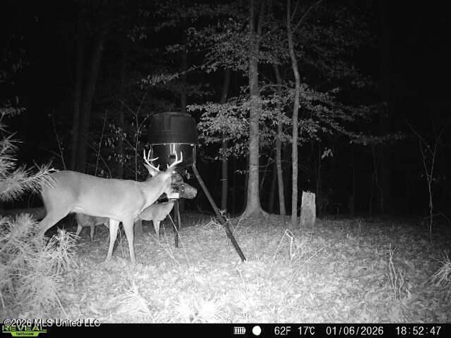 Property Image 101