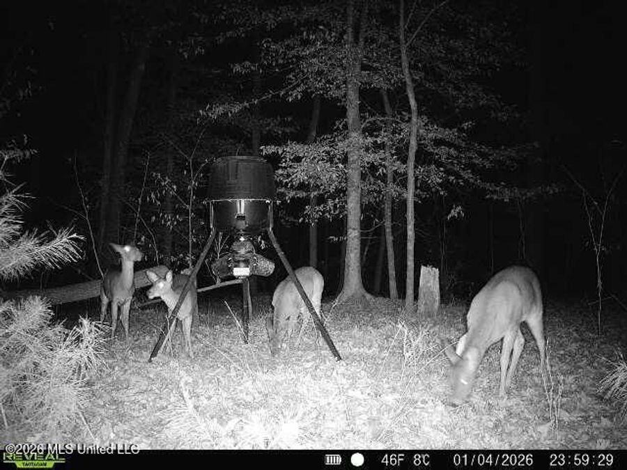 Property Image 106