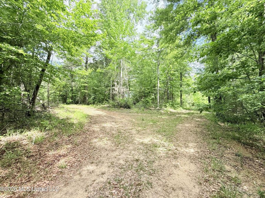 Property Image 59