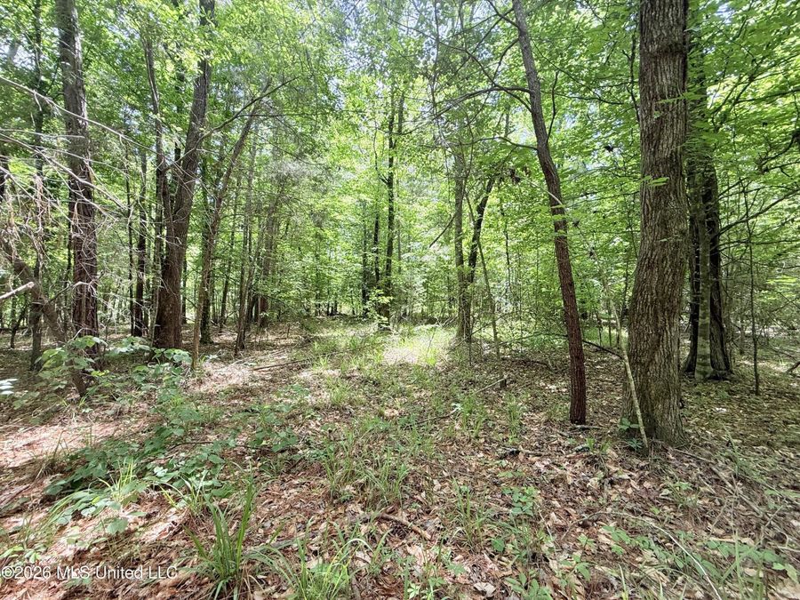Property Image 62